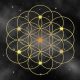 The Flower of Life; (simple defination).- (Mindset Media News!)