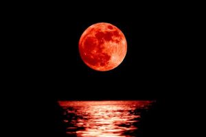 Blood Red moon will appear on March 14th Full Moon 2025, – (Mindset Media News!)