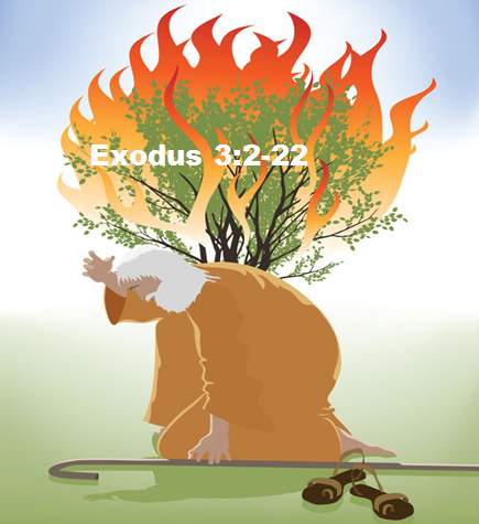 exodus 3:2-22 burning bush