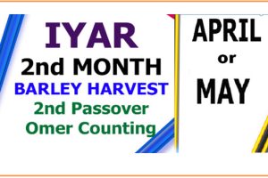 IYAR – ARTICLES, BIBLE STUDY & SCRIPTURES TO READ 4  APRIL /MAY.. – (Mindset Media News!)