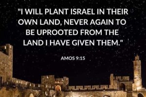 Amos 9:15:  I will Plant ISRAEL in their LAND and I will not allow any one to pull them up from there – (Mindset Media News!)