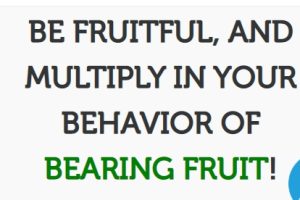 Genesis 1:26-28 Let’s [MAKE] man in OUR IMAGE (Media), to Bear fruit & also Multiply and fill mother earth… – (Mindset Media News!)