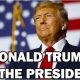 Donald Trump; President of America 2024 to 2028 (Mindset Media News)