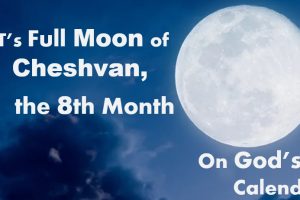 Full Moon of Cheshvan fell on 15th  /16th of NOVEMBER 2024 (Mindset Media News)